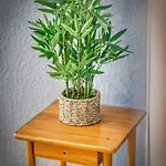 Lägenhet #hi Le Petit Marcel Hyper-centre Fully Equipped *